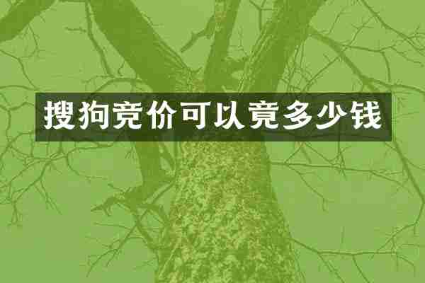 搜狗竞价可以竟多少钱
