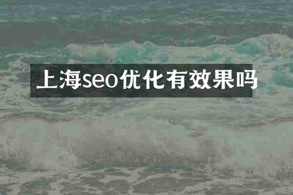 上海seo优化有效果吗