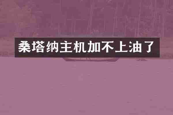 桑塔纳主机加不上油了