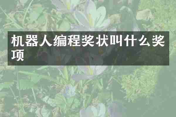 机器人编程奖状叫什么奖项