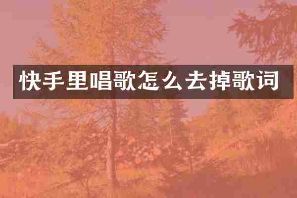 快手里唱歌怎么去掉歌词