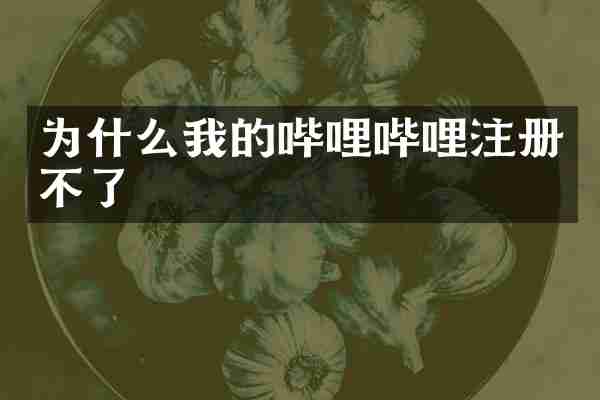 为什么我的哔哩哔哩注册不了