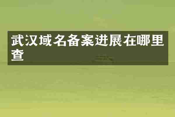武汉域名备案进展在哪里查