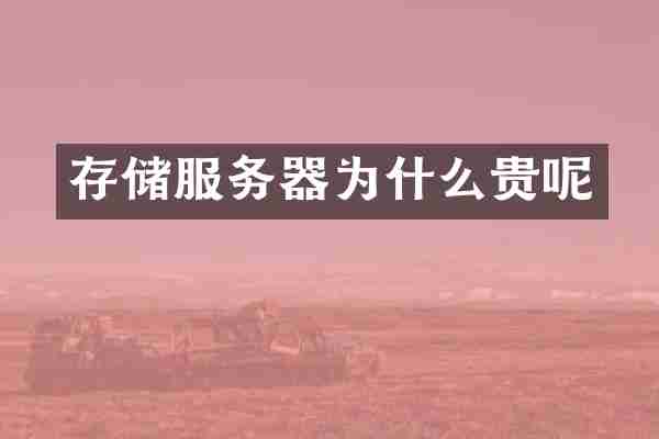 存储服务器为什么贵呢