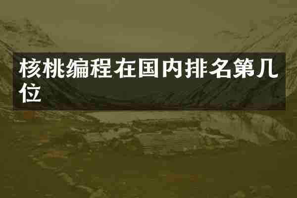 核桃编程在国内排名第几位