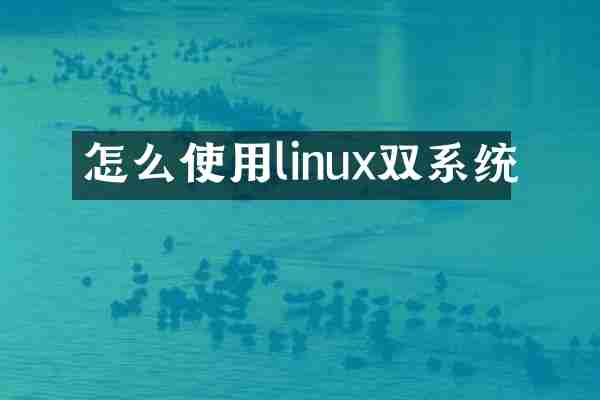 怎么使用linux双系统