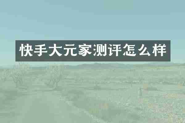 快手大元家测评怎么样