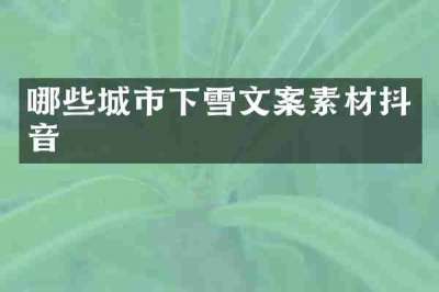 哪些城市下雪文案素材抖音