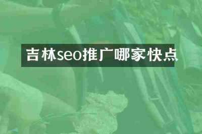 吉林seo推广哪家快点