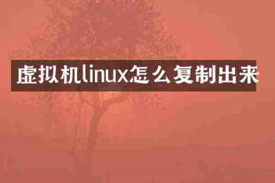 虚拟机linux怎么复制出来