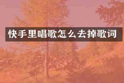 快手里唱歌怎么去掉歌词