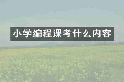 小学编程课考什么内容