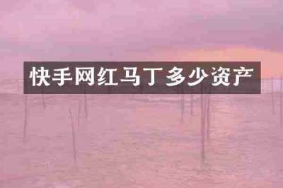 快手网红马丁多少资产