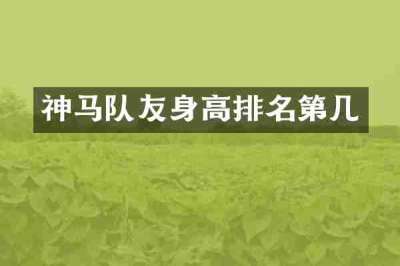 神马队友身高排名第几