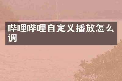 哔哩哔哩自定义播放怎么调