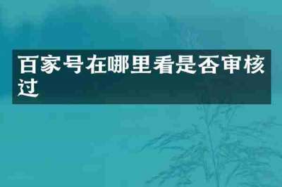 百家号在哪里看是否审核过