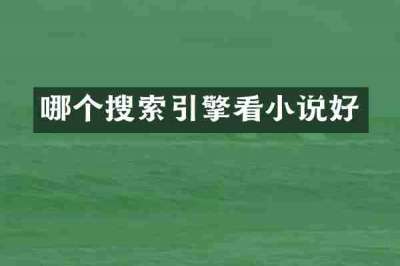哪个搜索引擎看小说好