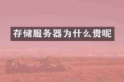 存储服务器为什么贵呢