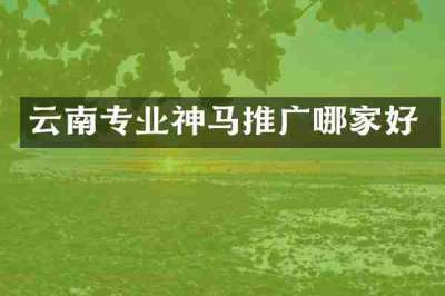 云南专业神马推广哪家好