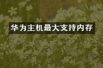 华为主机最大支持内存