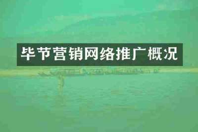 毕节营销网络推广概况