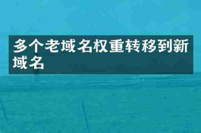 多个老域名权重转移到新域名
