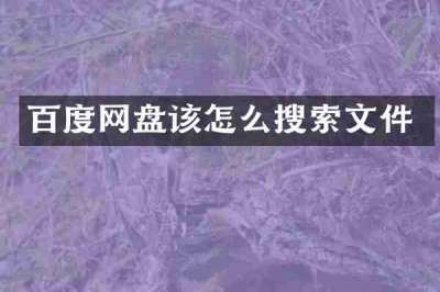 百度网盘该怎么搜索文件