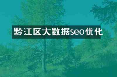 黔江区大数据seo优化