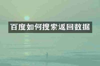 百度如何搜索返回数据