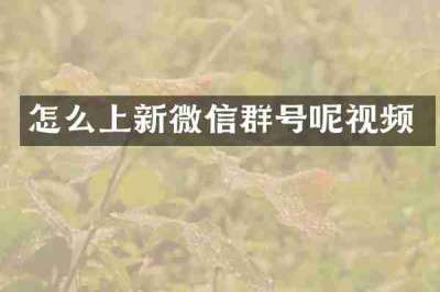 怎么上新微信群号呢视频