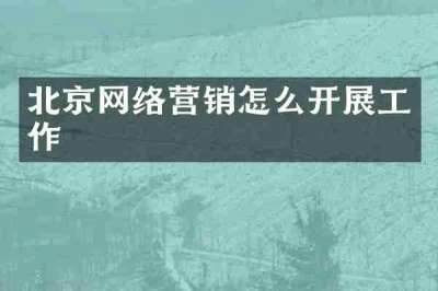 北京网络营销怎么开展工作