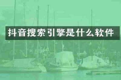 抖音搜索引擎是什么软件