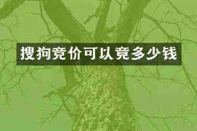 搜狗竞价可以竟多少钱