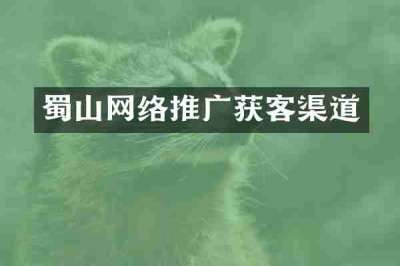 蜀山网络推广获客渠道