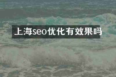 上海seo优化有效果吗