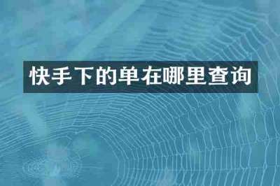 快手下的单在哪里查询