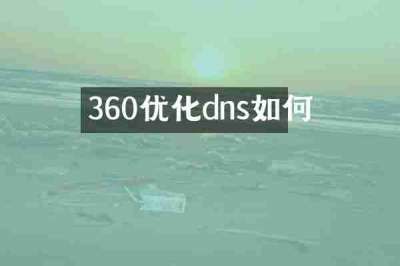 360优化dns如何