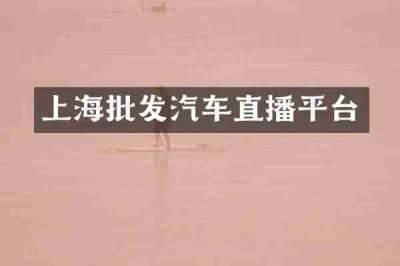 上海批发汽车直播平台