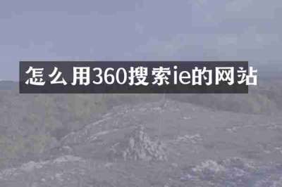 怎么用360搜索ie的网站