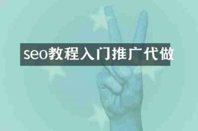 seo教程入门推广代做