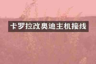 卡罗拉改奥迪主机接线