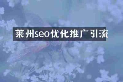 莱州seo优化推广引流