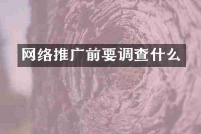 网络推广前要调查什么
