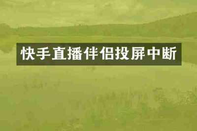 快手直播伴侣投屏中断