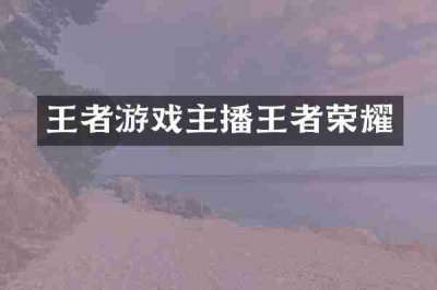 王者游戏主播王者荣耀