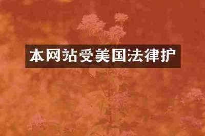 本网站受美国法律护