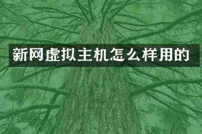 新网虚拟主机怎么样用的