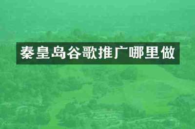 秦皇岛谷歌推广哪里做