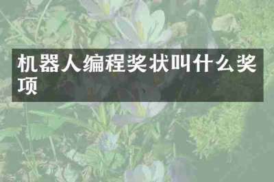 机器人编程奖状叫什么奖项