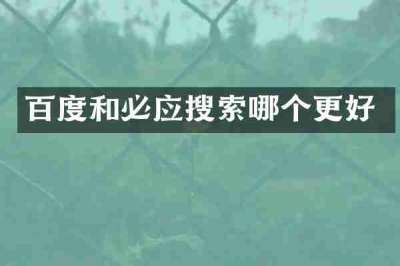 百度和必应搜索哪个更好